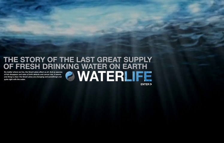 waterlife