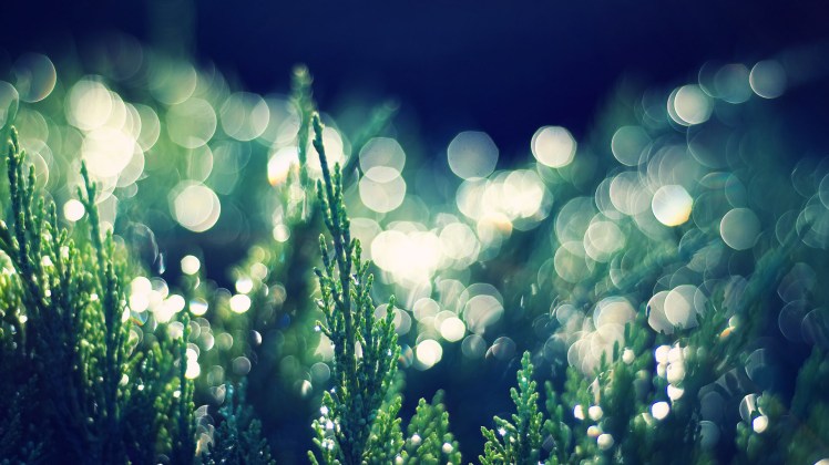 Shiny-Green-Plants-and-Light-Dots