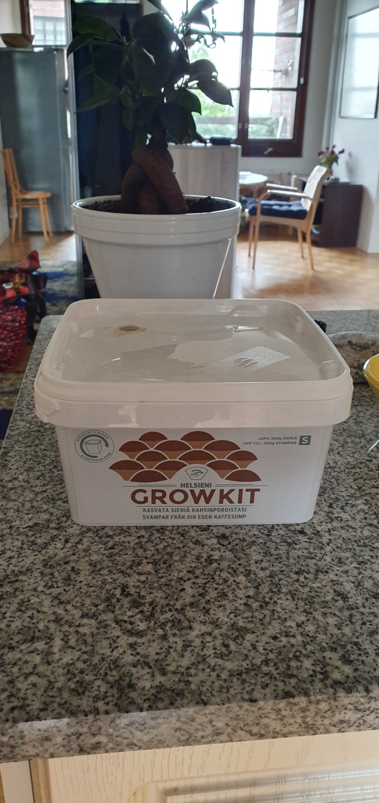 Mushroom starter-kit